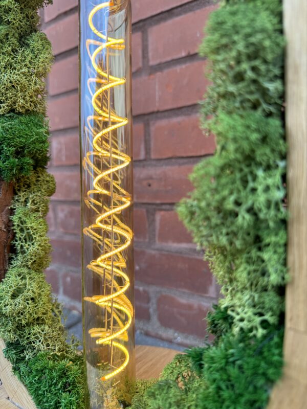 De mos-lamp - Afbeelding 8