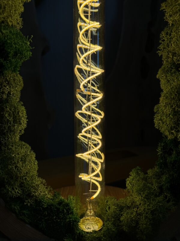 De mos-lamp - Afbeelding 2